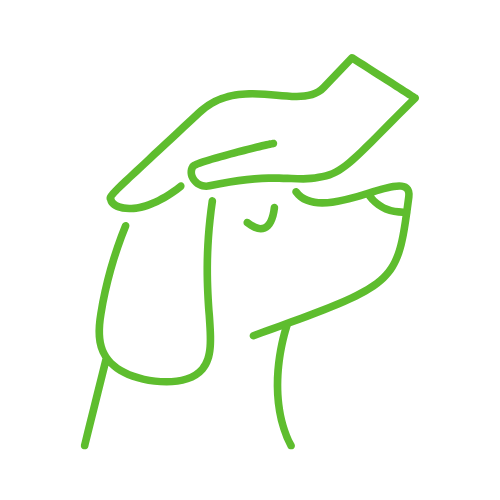 Holistic Reiki Session for Fur Babies